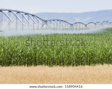 Circular irrigation system on the farm field.