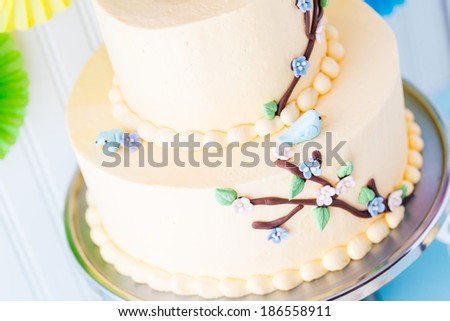 Gourmet Spring two layer cake with blue birds and spring flowers.