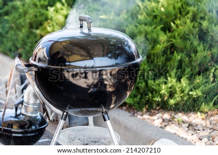 Summer outdoor cooking on barbecue grill.
