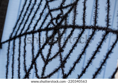 Decorative black spider web on front porch.