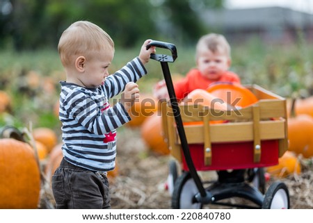 Choosing a pumpkin at a pumpkin patch on Fall day.
