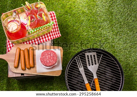 Summer picnic with small charcoal grill in the park.