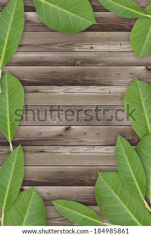 Nature poster template. Wood texture poster design