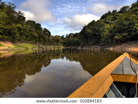 View from the boat at Amazon river, with a dense forest on the shore and blue sky, Anazonas, Brazil
