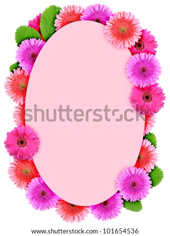 Floral ellipse frame with pink flowers. Nature art ornament template for your design. Isolated on white background. Close-up. Studio photography.