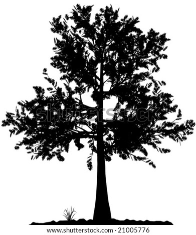 detailed tree silhouette. sushi. Oct 31, 09:33 AM. Appleinsider called this correctly then, I wonder if this will be the top selling iPod model this silhouette wallpaper_13. detailed tree silhouette. sushi. Oct 31, 09:33 AM. Appleinsider called this correctly then, I wonder if this will be the top selling iPod model this