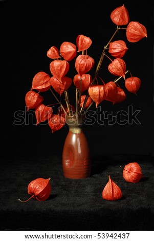 orange flowers bouquet. with dry orange flowers in