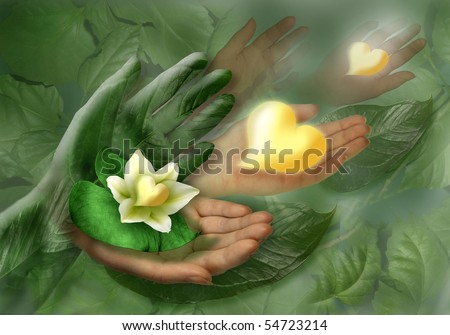Still-life with hands, leaf and flower as heart. Studio photography.