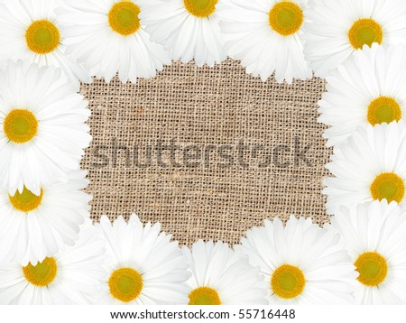 Abstract frame with white flowers and textile background. Close-up. Studio photography.