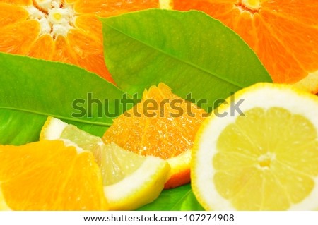 Lemon and orange slices with green leaves
