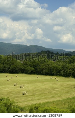 Early Summer Landscape, East Tennessee