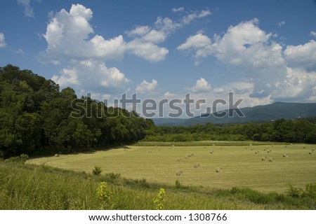 Early Summer Landscape, East Tennessee