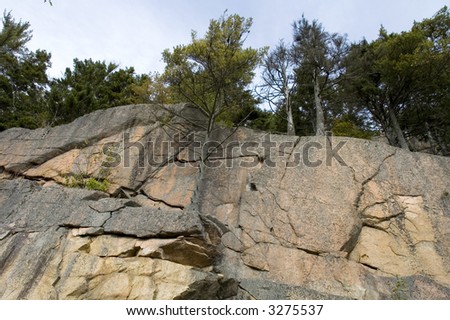 Cliff near Carriage Road, Acadia National Park, ME