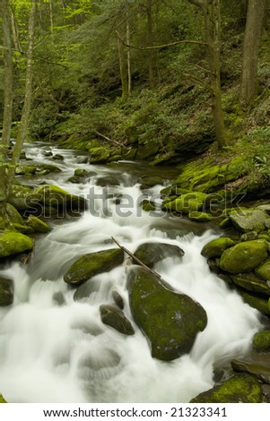 Roaring Fork, Great Smoky Mountains National Park, TN, USA