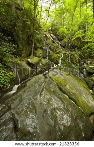 Cliff Branch Falls, Great Smoky Mountains National Park, TN, USA