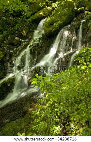 Waterfalls, Tremont, Great Smoky Mountains National Park, TN