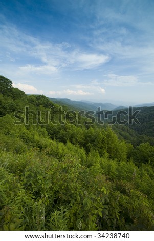 Great Smoky Mtns from Newfound Gap Rd