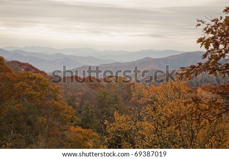 Autumn, Great Smoky Mtns National Park