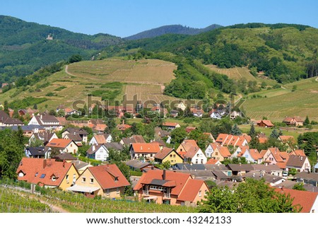 Village surrounded by vineyards in the Alsace Region of France at the Route des vins (Wine Route).