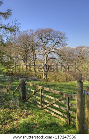 An English countryside scene in spring with five bar gate and beech trees