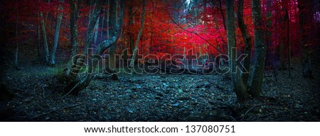 Mystic Forest With Red Leaves And Blueish Atmosphere (Fairytale)