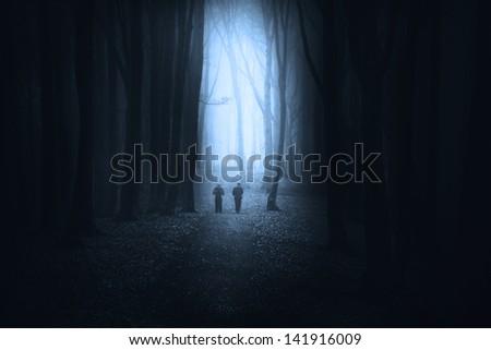 Dark forest path in a foggy autumn day with blue atmosphere | fairytale and mystic moment