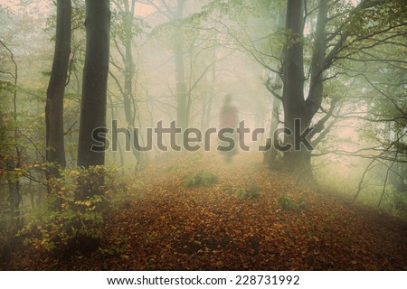 Spooky mist in the forest. A dark silhouette of a ghost appears in the background