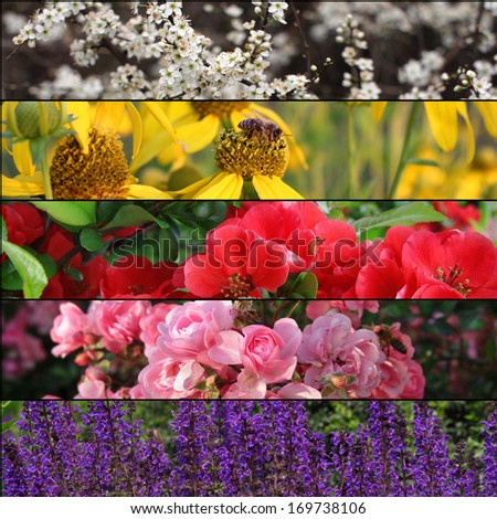 set of beautiful flowers banners