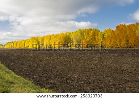 Natural sketches. Fields, meadows, forests of Siberia.