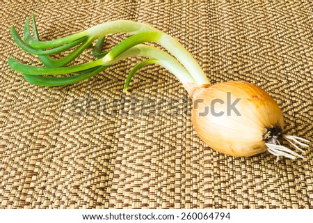 Green onions on a straw napkin Green onions