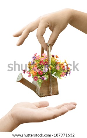 woman hand holding flower bouquet - Stock Image - Everypixel