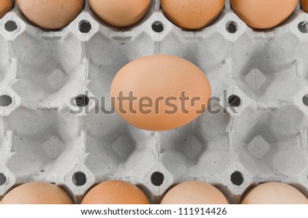 The eggs in a paper box cushions.