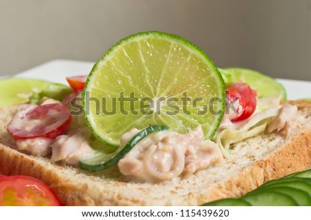 Tuna salad on bread wheat focus at lemon