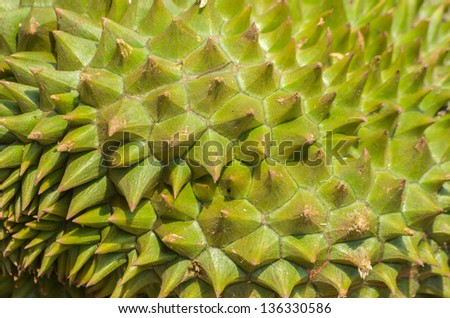 Durian King of Fruit, Fruit in Thailand Characteristics of the scents are intense.
