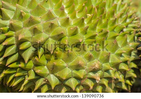 Durian King of Fruit, Fruit in Thailand Characteristics of the scents are intense.
