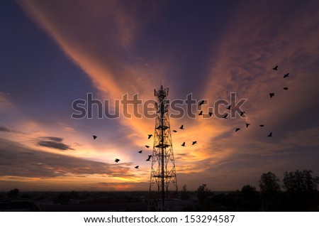Silhouettes telecommunication tower at sunset. Beautiful sky with birds flying