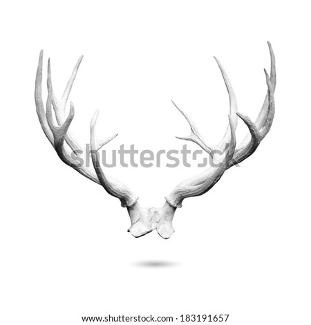 Antler replicas made of cement isolated on white background with clipping path Antler replicas made of cement isolated on white background with clipping path