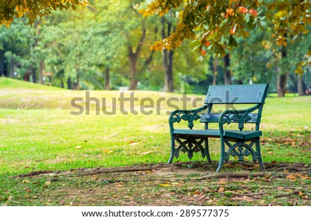 Green bench in the garden The leaves are changing colors.