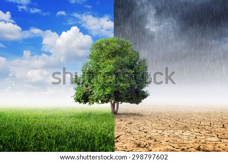 Landscape of Trees With the changing environment, Concept of climate change.