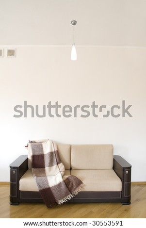 classic sofa covered by rug on the wooden floor