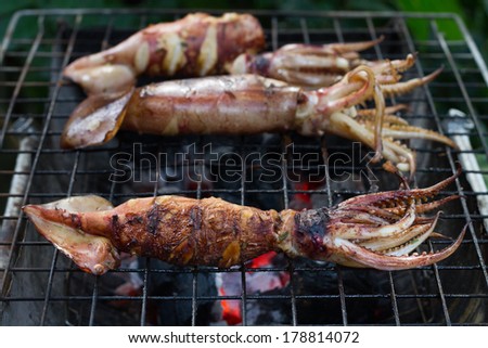 Grilled squid on the grill