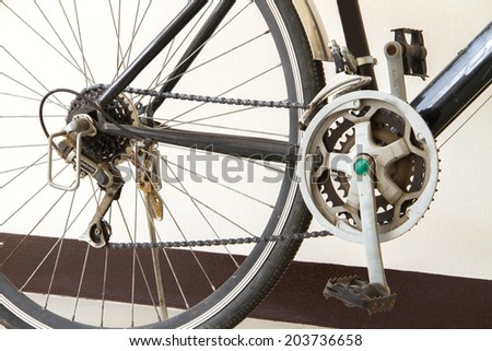old mountain bike, front sprocket and pedal.