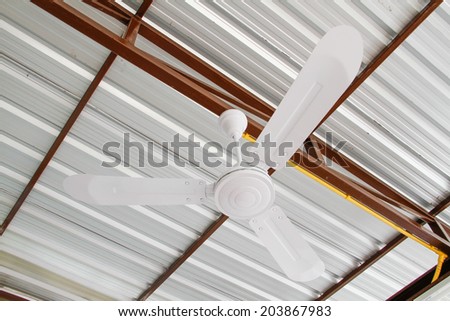Three blades Ceiling fan