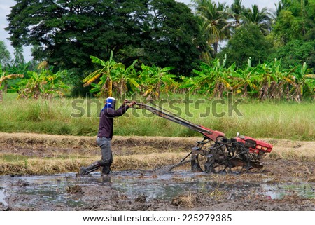 Thai farmer using walking tractors for cultivated soil for rice