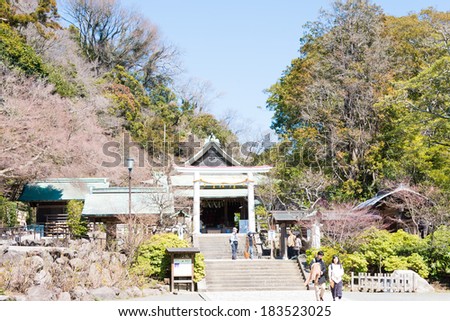KAMAKURA, JAPAN - MARCH 22 2014: Tourists at Kamakura-gu Shrine. This shrine was built to worship the spirit of Prince Morinaga,the son of Emperor Godaigo.