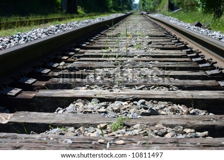 A perspective, vanishing point view of railroad tracks in the summer.