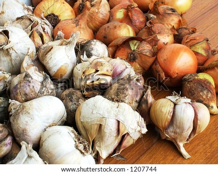 Onion vs garlic. Bunch of onion and garlic