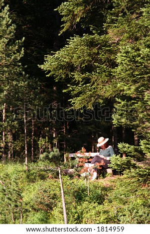 Woman on a bench reading. Woman reading  book in nature
