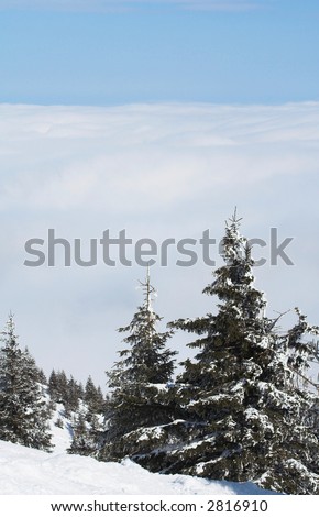 Snow mountain trees with white clouds under the mountain. Winter concept