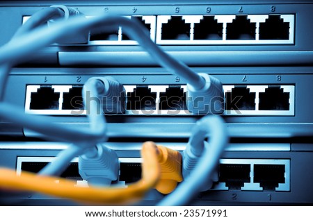 Network cables connected to switch or router. Computer net and internet concept